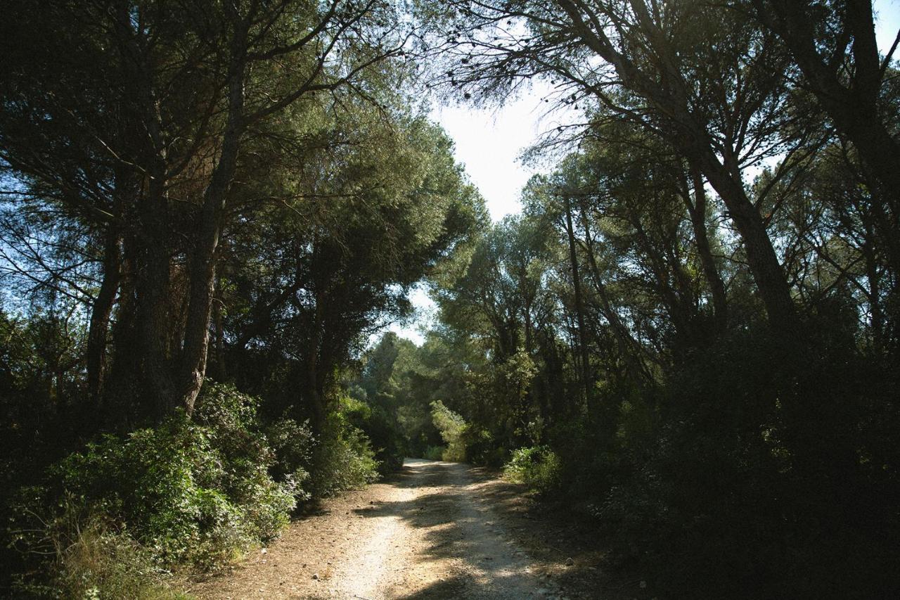 Masia Bartomeu Rural House Between Vineyards 2Km From The Beach Вендрель Экстерьер фото