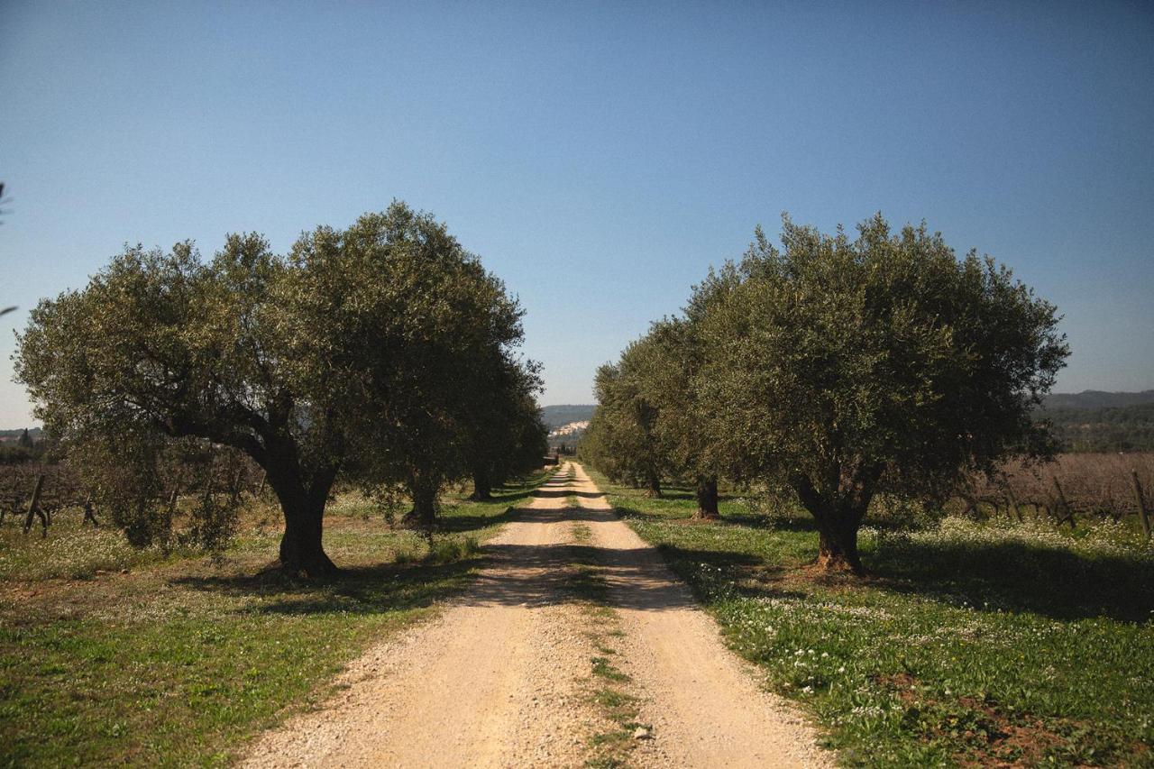 Masia Bartomeu Rural House Between Vineyards 2Km From The Beach Вендрель Экстерьер фото