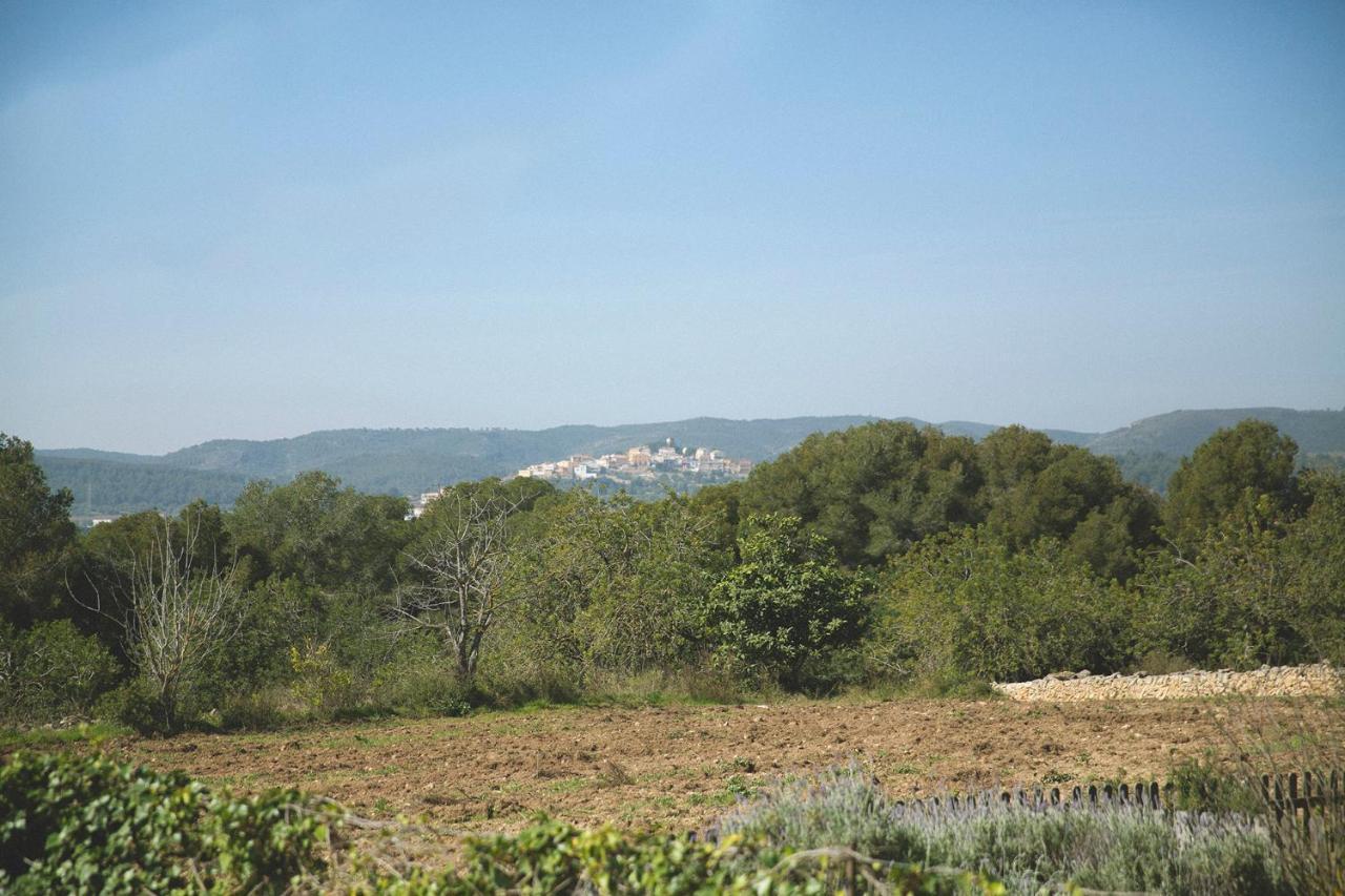 Masia Bartomeu Rural House Between Vineyards 2Km From The Beach Вендрель Экстерьер фото