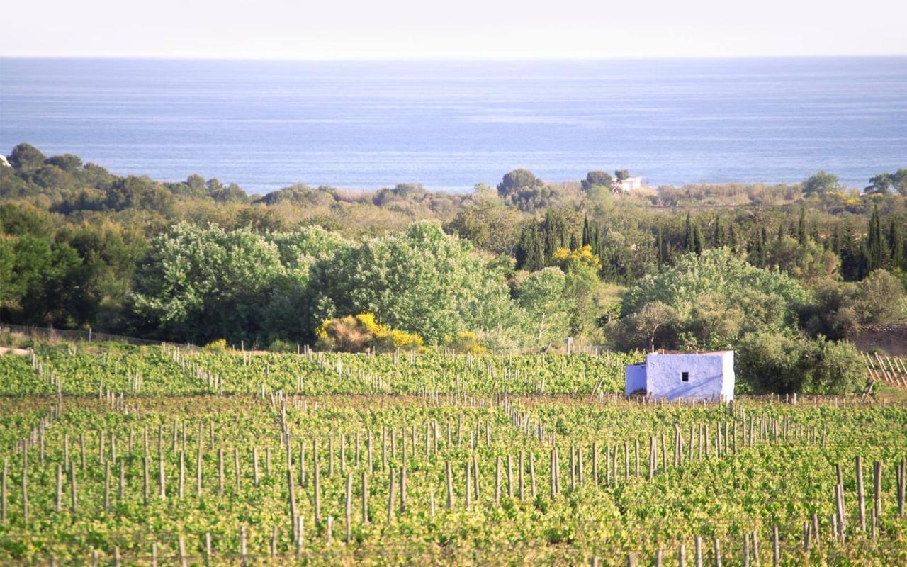 Masia Bartomeu Rural House Between Vineyards 2Km From The Beach Вендрель Экстерьер фото